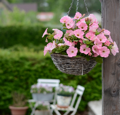 Mandje bloemen